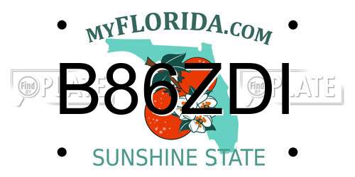 B86ZDI Florida License Plate