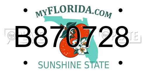 B870728 Florida License Plate