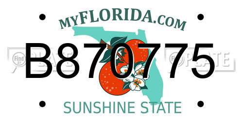 B870775 Florida License Plate
