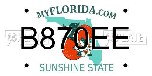 B870EE Florida License Plate