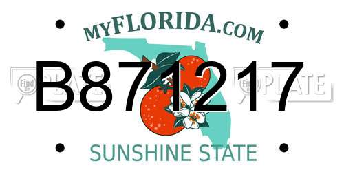 B871217 Florida License Plate