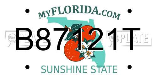 B87121T Florida License Plate