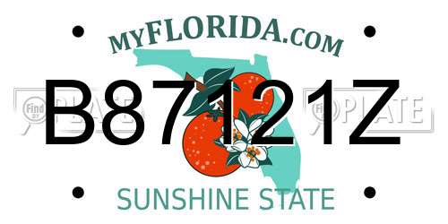 B87121Z Florida License Plate