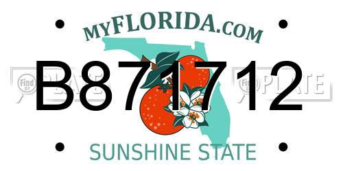 B871712 Florida License Plate