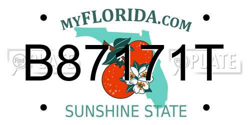 B87171T Florida License Plate