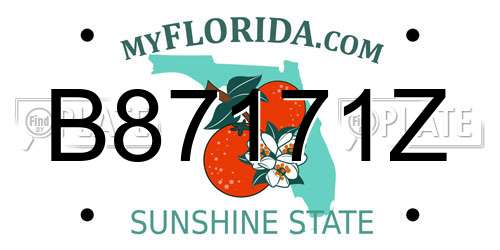 B87171Z Florida License Plate