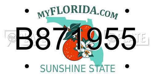 B871955 Florida License Plate