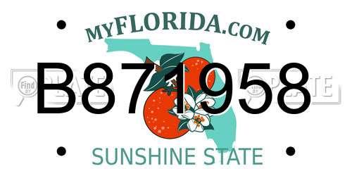 B871958 Florida License Plate