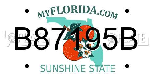 B87195B Florida License Plate