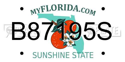 B87195S Florida License Plate