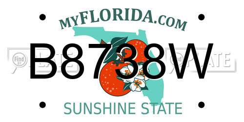 B8738W Florida License Plate