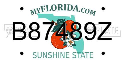 B87489Z Florida License Plate