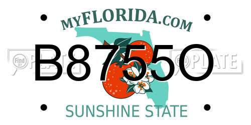 B8755O Florida License Plate