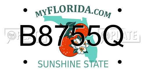 B8755Q Florida License Plate
