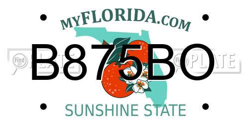 B875BO Florida License Plate