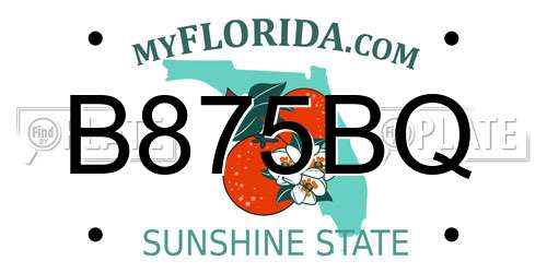 B875BQ Florida License Plate