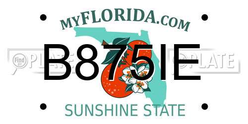 B875IE Florida License Plate