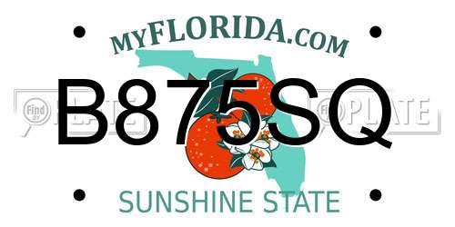 B875SQ Florida License Plate