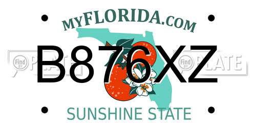 B876XZ Florida License Plate