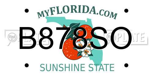 B878SO Florida License Plate