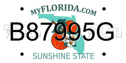 B87995G Florida License Plate