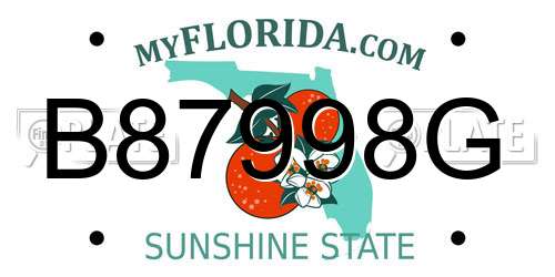 B87998G Florida License Plate