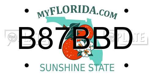 B87BBD Florida License Plate