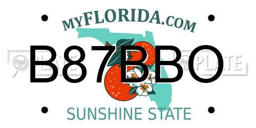 B87BBO Florida License Plate