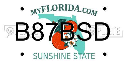 B87BSD Florida License Plate