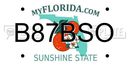 B87BSO Florida License Plate
