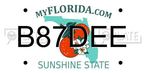 B87DEE Florida License Plate