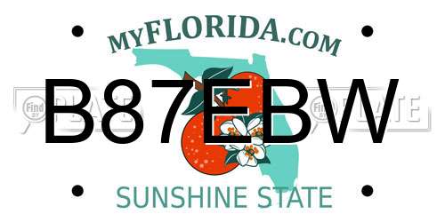 B87EBW Florida License Plate
