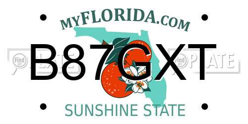 B87GXT Florida License Plate