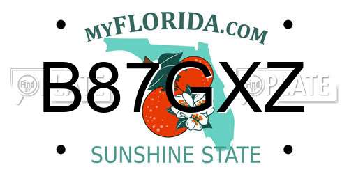 B87GXZ Florida License Plate