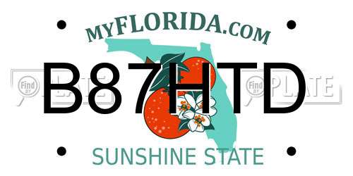 B87HTD Florida License Plate