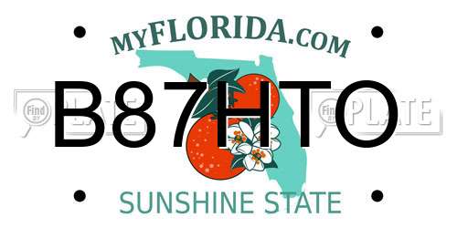 B87HTO Florida License Plate
