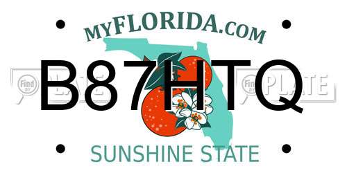 B87HTQ Florida License Plate
