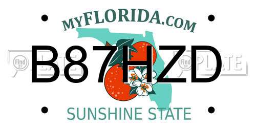 B87HZD Florida License Plate