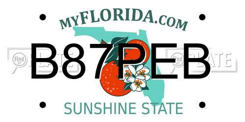 B87PEB Florida License Plate