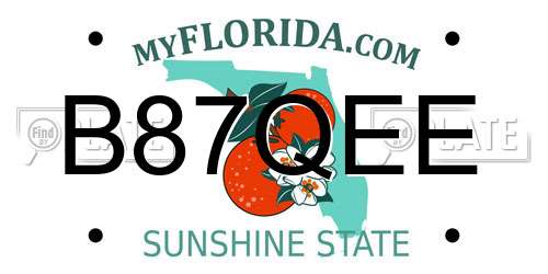 B87QEE Florida License Plate