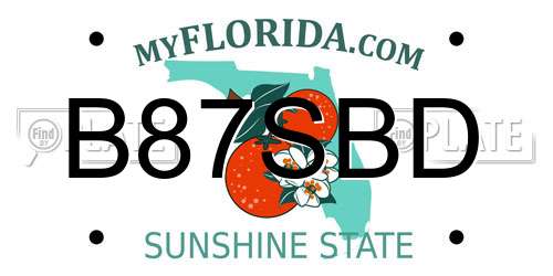 B87SBD Florida License Plate