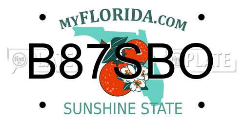 B87SBO Florida License Plate