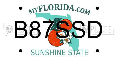B87SSD Florida License Plate
