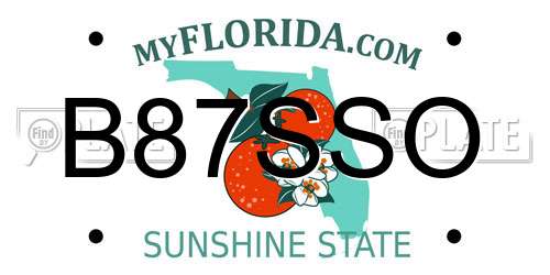 B87SSO Florida License Plate