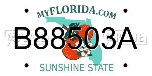 B88503A Florida License Plate