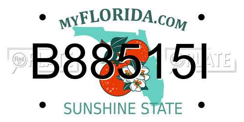 B88515I Florida License Plate