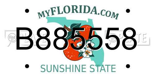 B885558 Florida License Plate