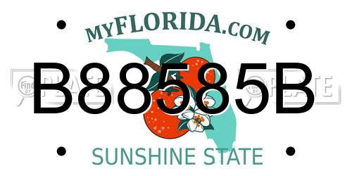 B88585B Florida License Plate