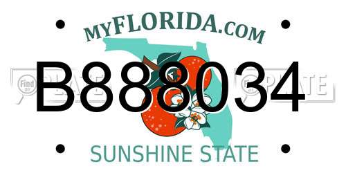 B888034 Florida License Plate