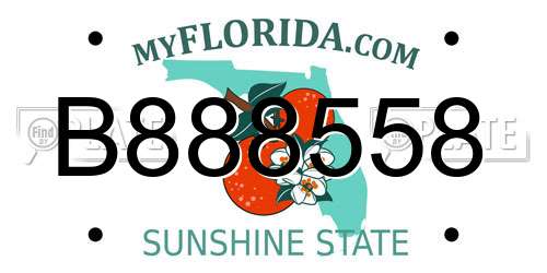 B888558 Florida License Plate